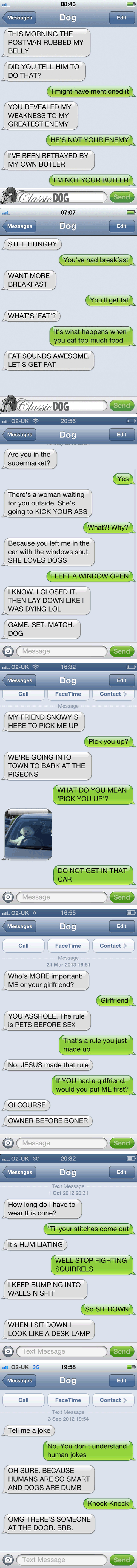 texts_from_a_dog_part_2